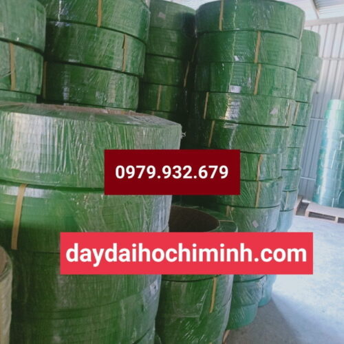 Dây Đai Nhựa Pet 19mm
