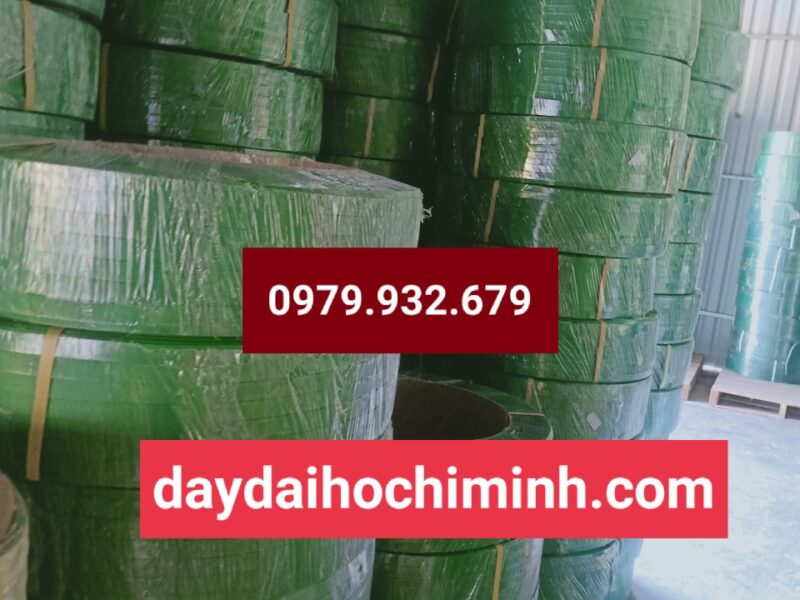 Green Pet strap - Dây đai Pet 16mm