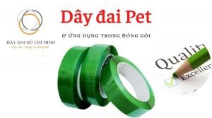 day-dai-pet-900x500