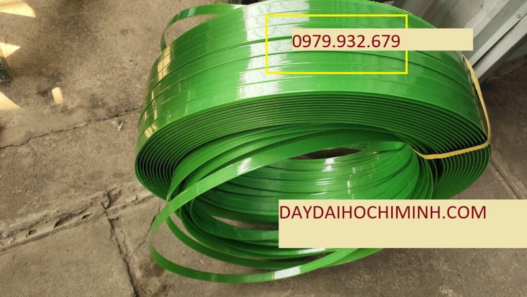 Dây đai nhựa PET