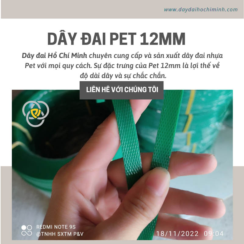 Dây đai nhựa Pet và ứng dụng trong đóng gói
