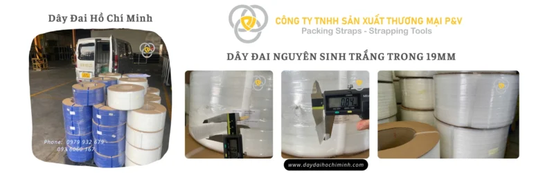 Cuộn dây đai nhựa nguyên sinh trắng trong 19mm - sản xuất bởi Công ty TNHH SXTM P&V