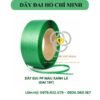 Hình ảnh thật dây đai pp màu xanh đai tay