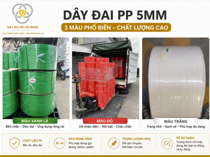 Dây đai PP 5mm là giải pháp đóng gói tiết kiệm và hiệu quả với 3 màu phổ biến: xanh lá, đỏ và trắng. Sản phẩm có độ bền cao, dễ sử dụng, phù hợp cho máy đóng đai tự động, bán tự động và ứng dụng trong nhiều ngành sản xuất.