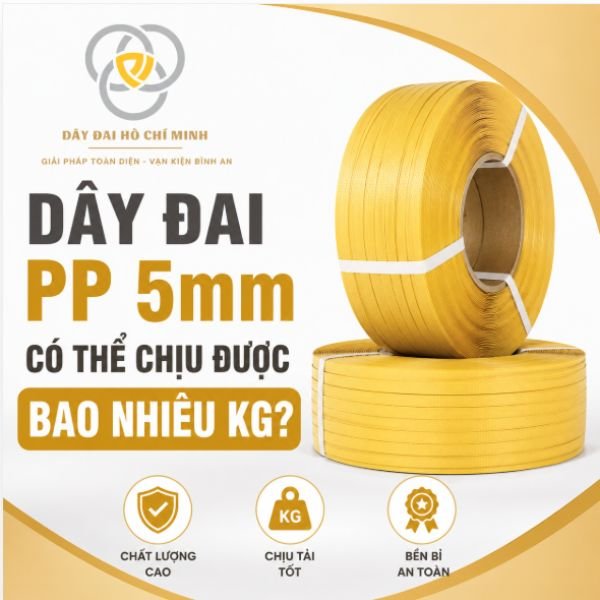 Dây đai PP 5mm có khả năng chịu tải bao nhiêu kg? Tìm hiểu đặc điểm, độ bền và ứng dụng thực tế của dây đai nhựa PP 5mm.