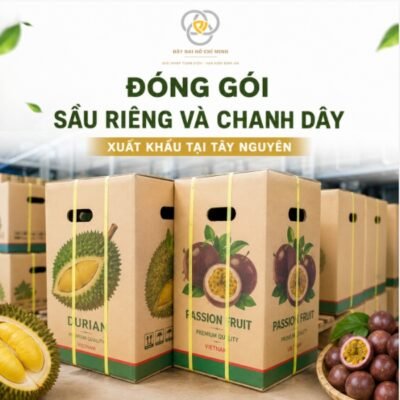 Hình ảnh thùng carton chanh dây xuất khẩu được đóng đai chắc chắn bằng dây đai PP chất lượng cao. Giải pháp đóng gói nông sản an toàn, bền đẹp và chuyên nghiệp từ Dây Đai Hồ Chí Minh.