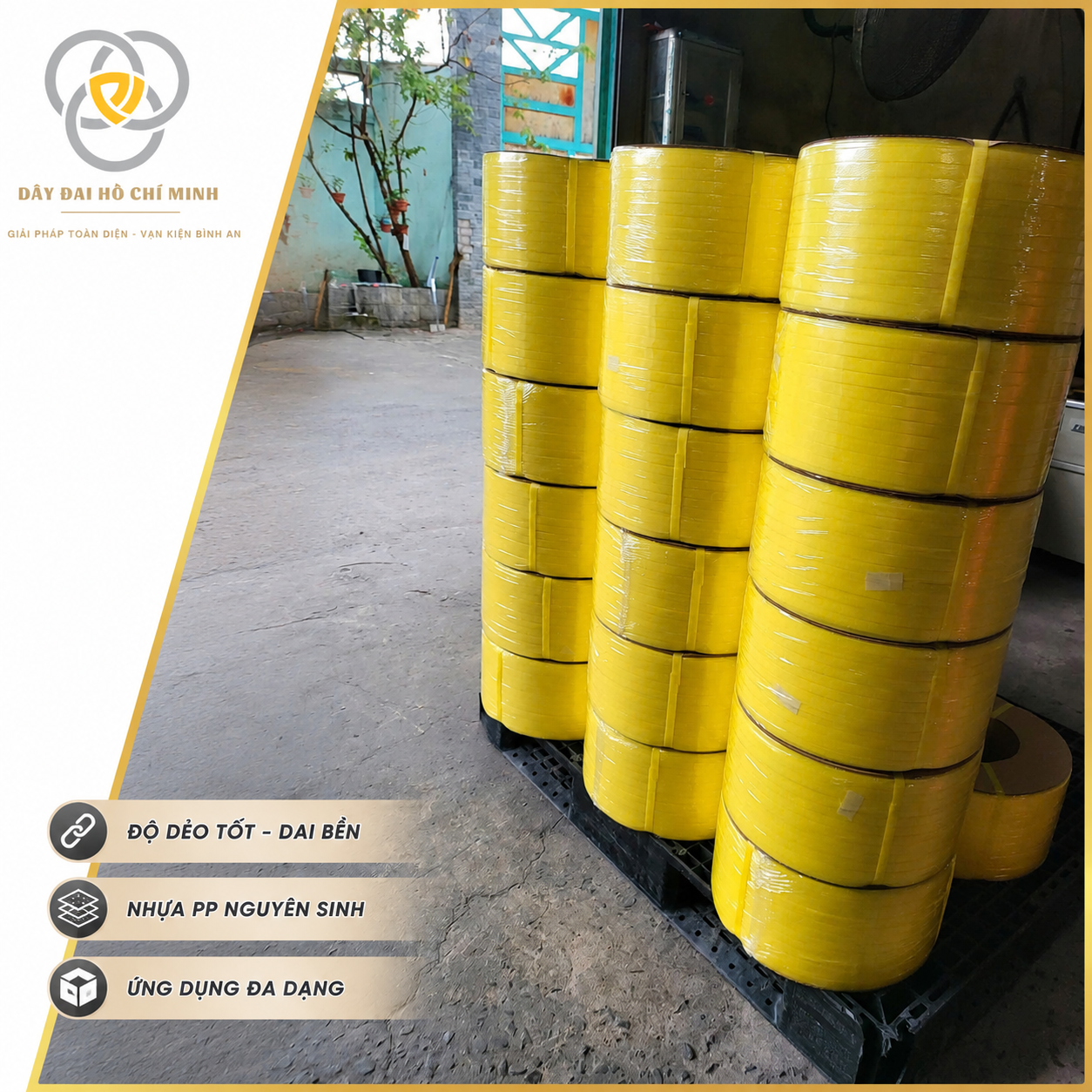 Các cuộn dây đai PP nguyên sinh màu vàng được đóng gọn, phù hợp sử dụng trong đóng kiện, vận chuyển và lưu kho hàng hóa.